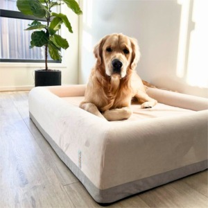 Warum braucht ein Hund ein Hundebett ?
