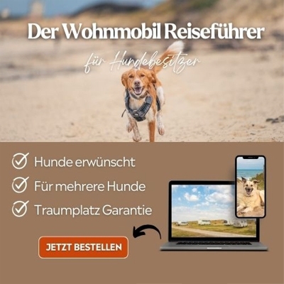 Wohnmobilurlaub mit Hund