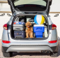 Preview: Car cooler vor frische Luft im Kofferraum