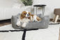 Preview: DandyDog Hundebett Teddy - Balance Soft Grey - Hochwertiger Möbelbezugstoff - div. Größen