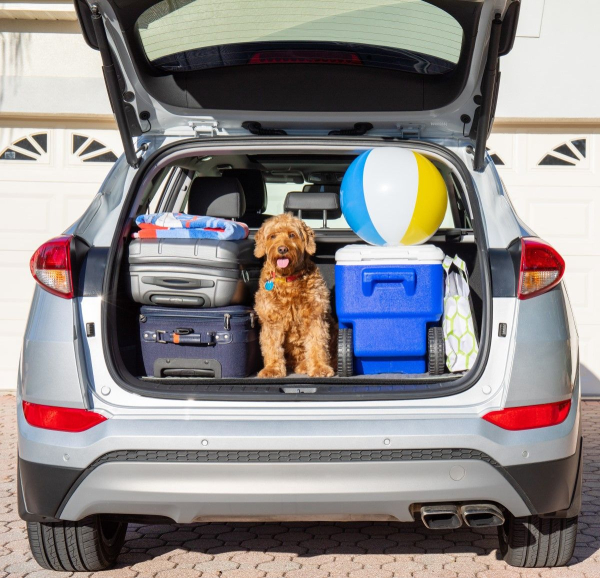 Car cooler vor frische Luft im Kofferraum