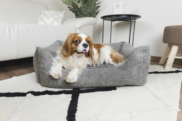 DandyDog Hundebett Teddy - Balance Soft Grey - Hochwertiger Möbelbezugstoff - div. Größen