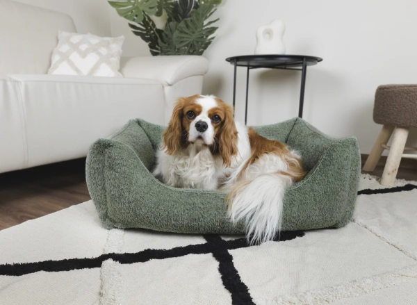 DandyDog Hundebett Teddy - Balance Soft Green - Hochwertiger Möbelbezugstoff - div. Größen