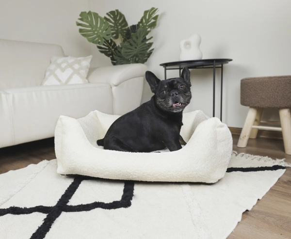 DandyDog Hundebett Teddy - Balance Soft Cream - Hochwertiger Möbelbezugstoff - div. Größen