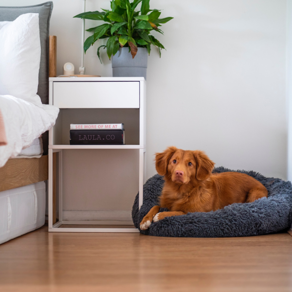 Hundebett - Hundekissen - Hundekorb - rund - grau - div. Größen